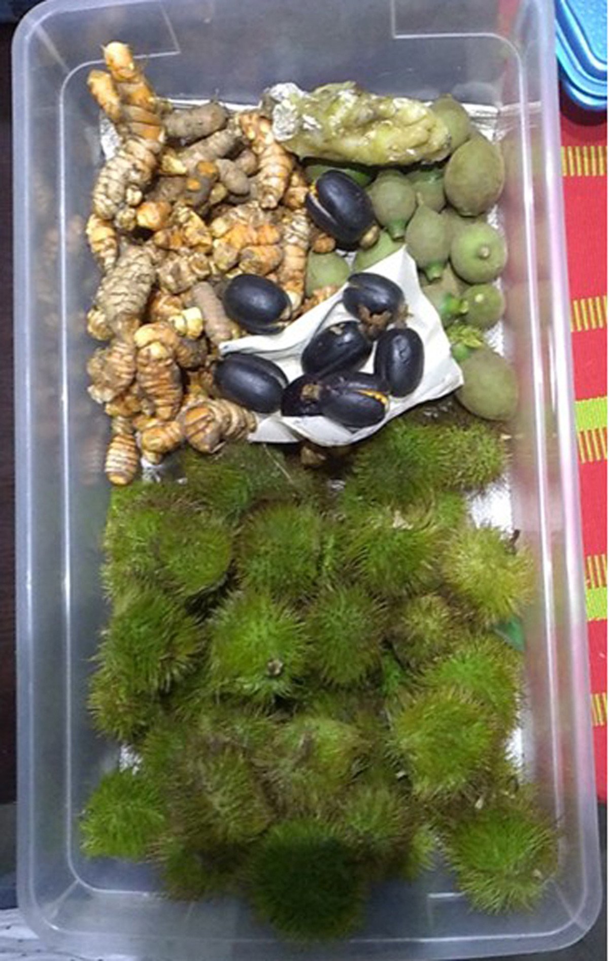 Amazon plants and natural pigments used by George Rivera