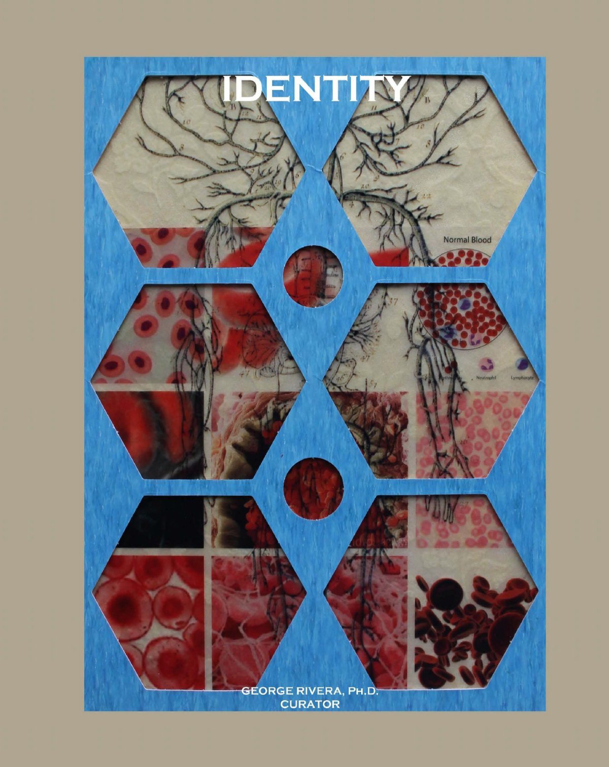 2014-identity