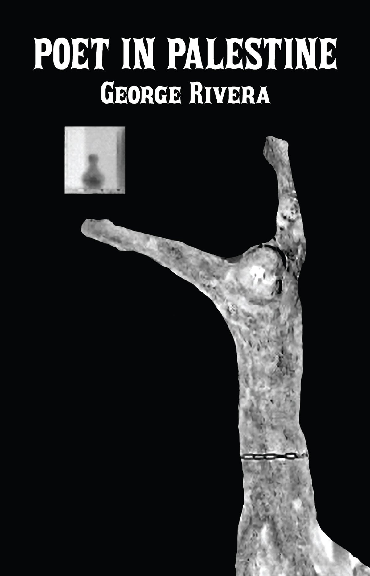 Poet in Palestine — cover